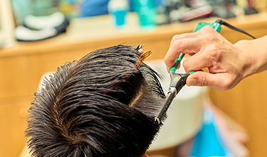 ギャラリー写真