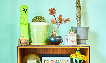 ギャラリー写真